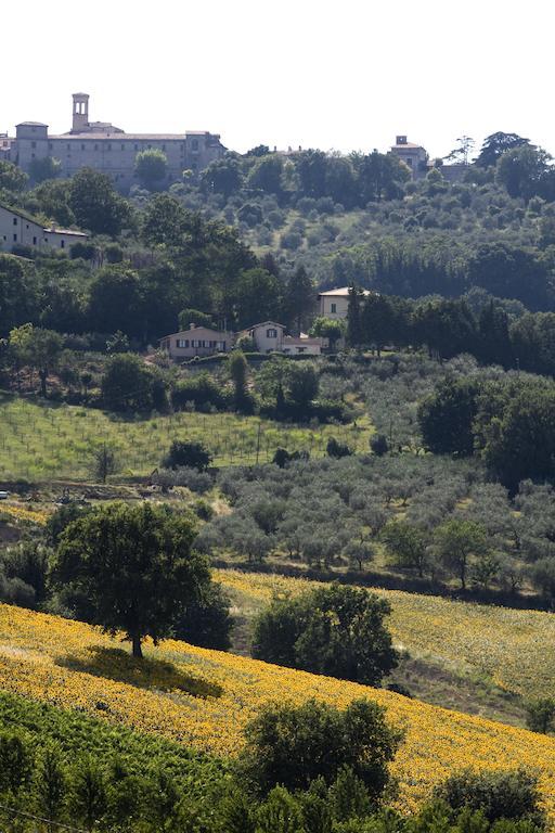 Agriturismo Il Girasole Montefalco Bagian luar foto