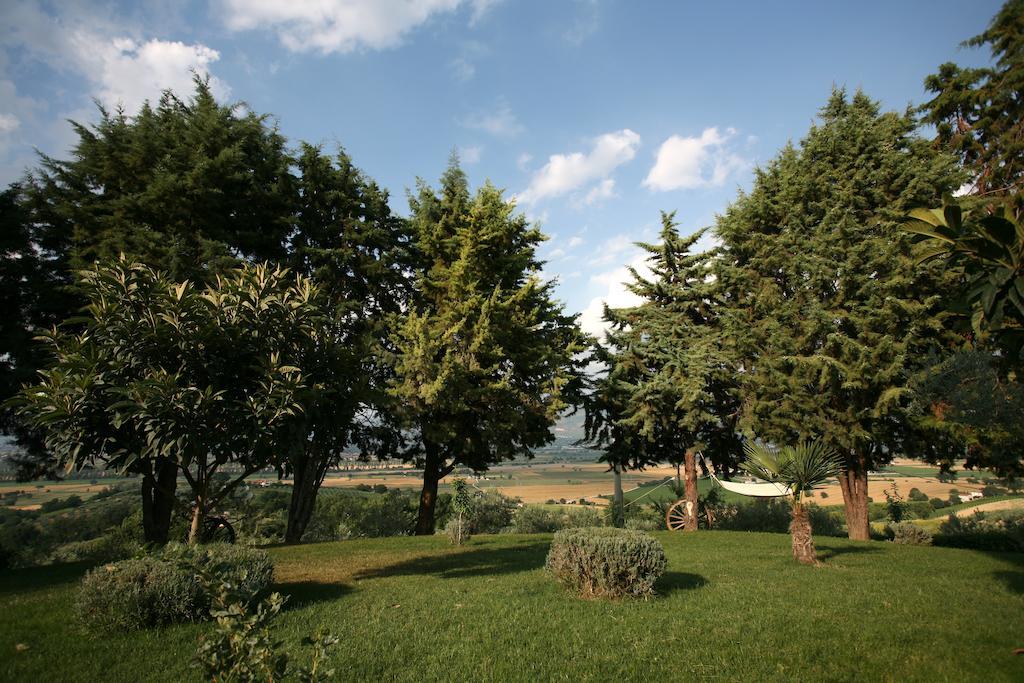 Agriturismo Il Girasole Montefalco Ruang foto