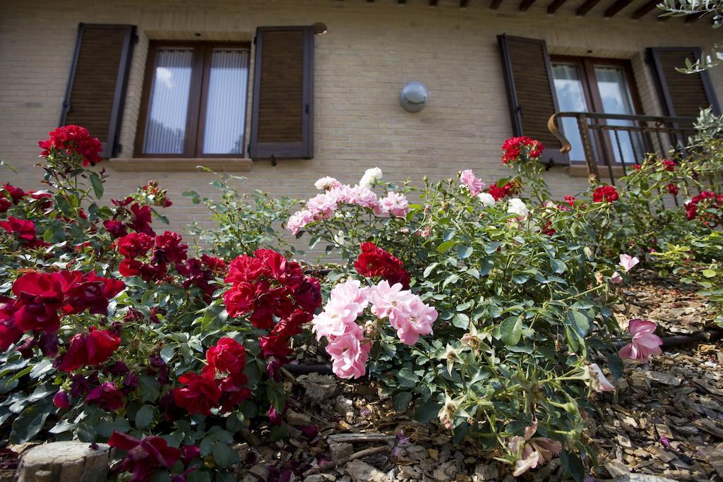 Agriturismo Il Girasole Montefalco Ruang foto