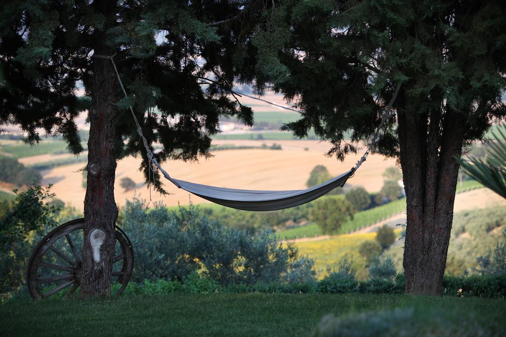 Agriturismo Il Girasole Montefalco Bagian luar foto