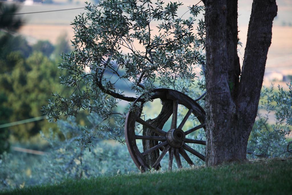 Agriturismo Il Girasole Montefalco Bagian luar foto