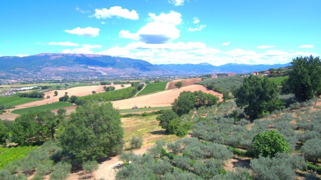 Agriturismo Il Girasole Montefalco Bagian luar foto